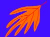 autumn leaf.png
