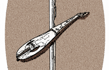 Poems from DONZALO’S DESTINY