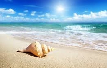 The Fisherman's Daughter