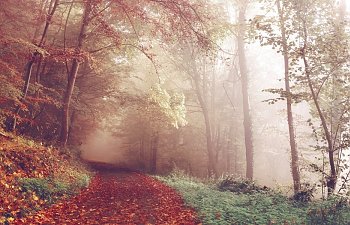 Chapter Three- Into the Calm