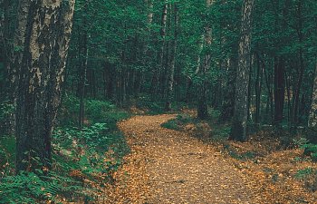 Chapter Six- A Favor