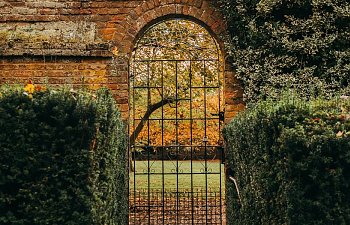 Chapter Seven- Worthy and Willing