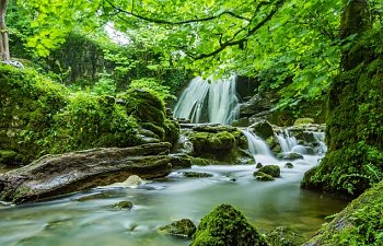 Chapter Nine- A Day at the River