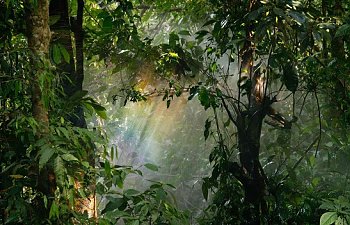 Chapter Twelve- The Heart of Gumber