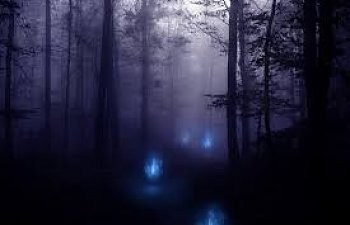 The Wooden Siren: Part One