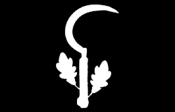 Thornstaff and Ryjah