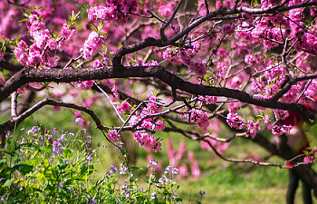 Chapter Nineteen- An Invitation