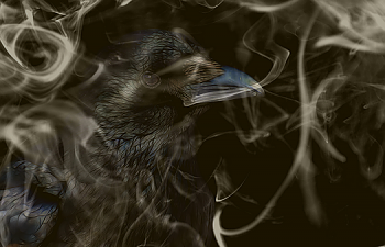 Chapter 25 - The Raven's Den