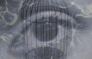 Chapter 26 - Questions Unanswered