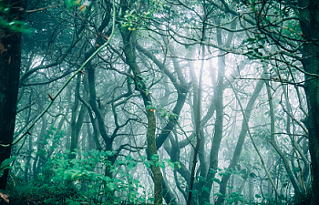 Chapter 29 - A Rude Awakening