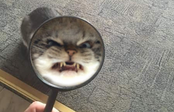 Things that need to be put to word so they no longer plague my brain