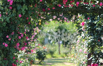 Travels through Farynshire: the Silver Loop