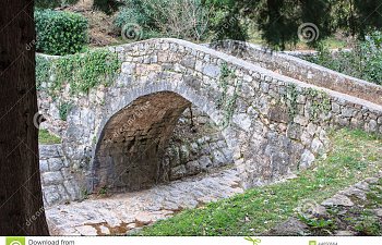 Travels through Farynshire: Aracely Cheth