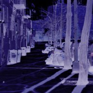 PurpleNoxandPizzaDough