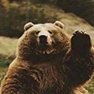 BearBear