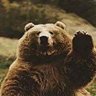 BearBear
