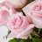 Rosegirl2014