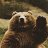 BearBear