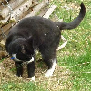 An inspirational guy