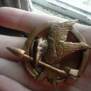 clay Mockingjay pin