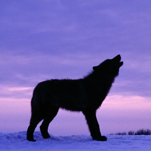 Captura De Pantalla 2018-01-07 A La(s) 23.25.43