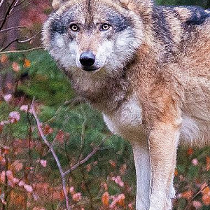 Captura De Pantalla 2016-08-05 A La(s) 14.25.47