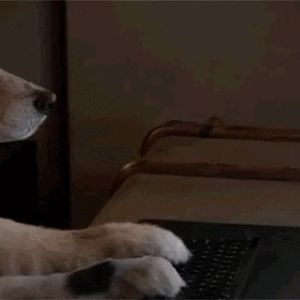 299794F4-1424-499F-8C0B-6CF5DF0E1D51_4_5005_c