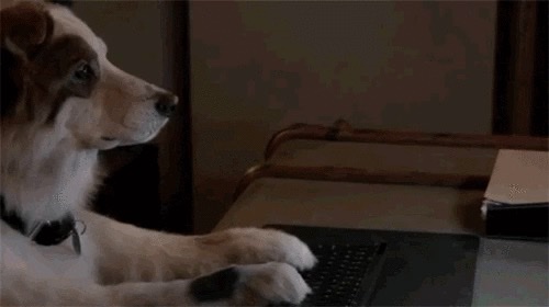 299794F4-1424-499F-8C0B-6CF5DF0E1D51_4_5005_c