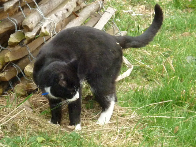 An inspirational guy