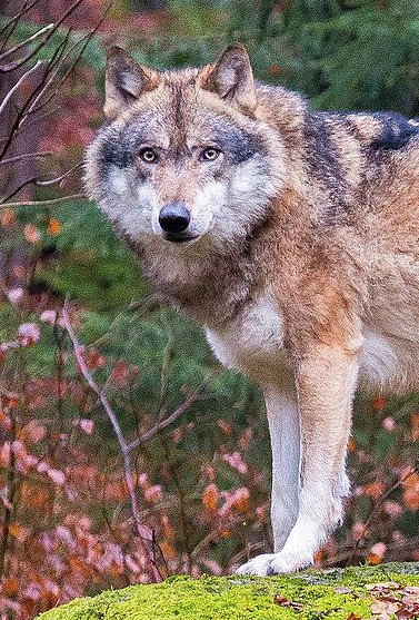 Captura De Pantalla 2016-08-05 A La(s) 14.25.47