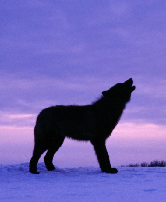 Captura De Pantalla 2018-01-07 A La(s) 23.25.43