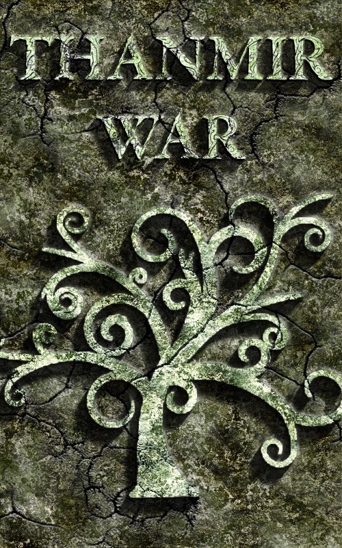 Thanmir War Scrubbed Stone